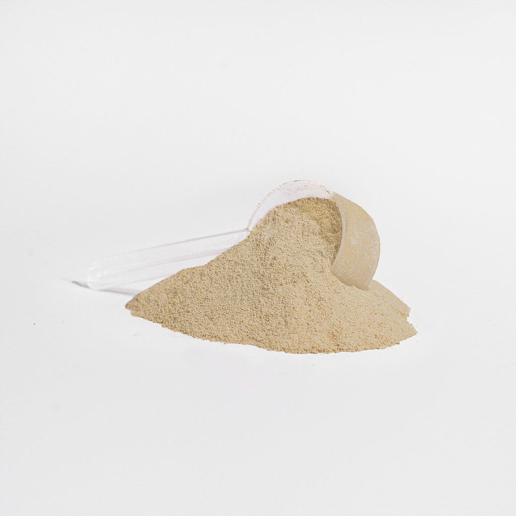 Muscle Faktor Plant Protein Powder — Vanilla (Fava Bean & Yeast)