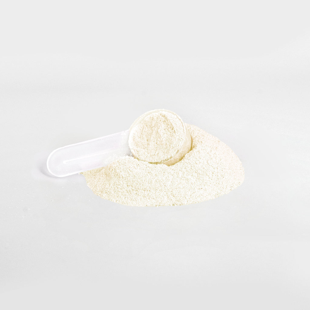 Muscle Faktor Lemonade Electrolyte Hydration Powder — Sugar-Free