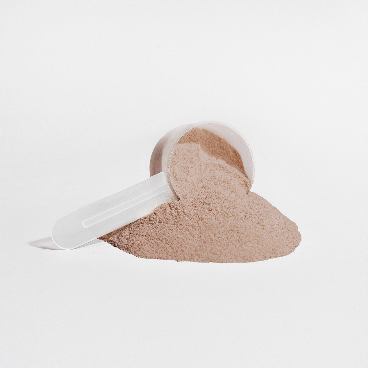 Muscle Faktor Plant Protein Powder — Chocolate (Fava Bean & Yeast)