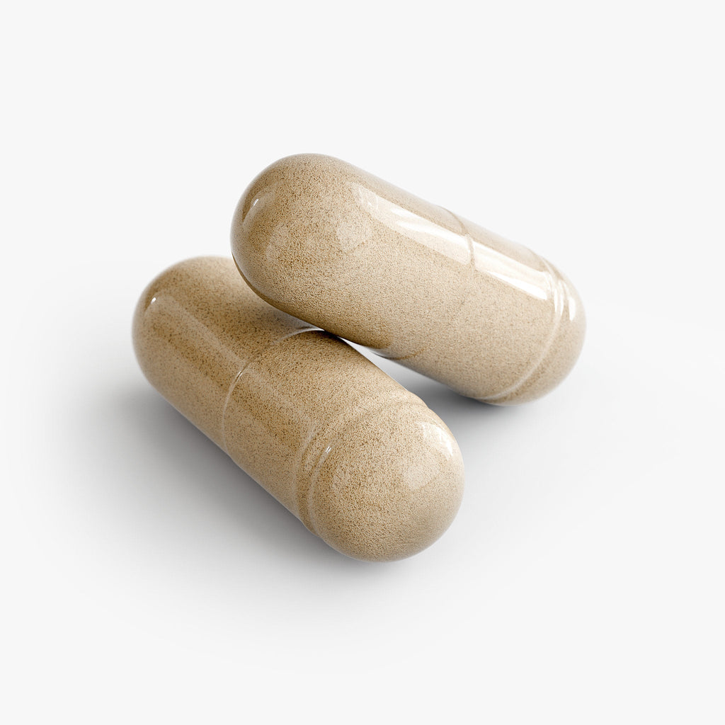 Muscle Faktor DORMI GENESIS Sleep Support Formula Capsules