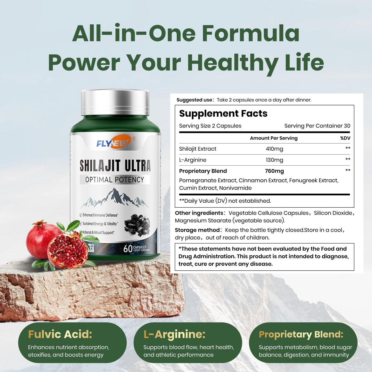 Shilajit for Men – 1,300mg with Fulvic Acid & L-Arginine | 60 Capsules