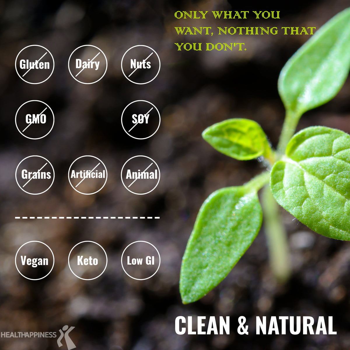 Plant-Based Meal Replacement - Complete Meal Protocol