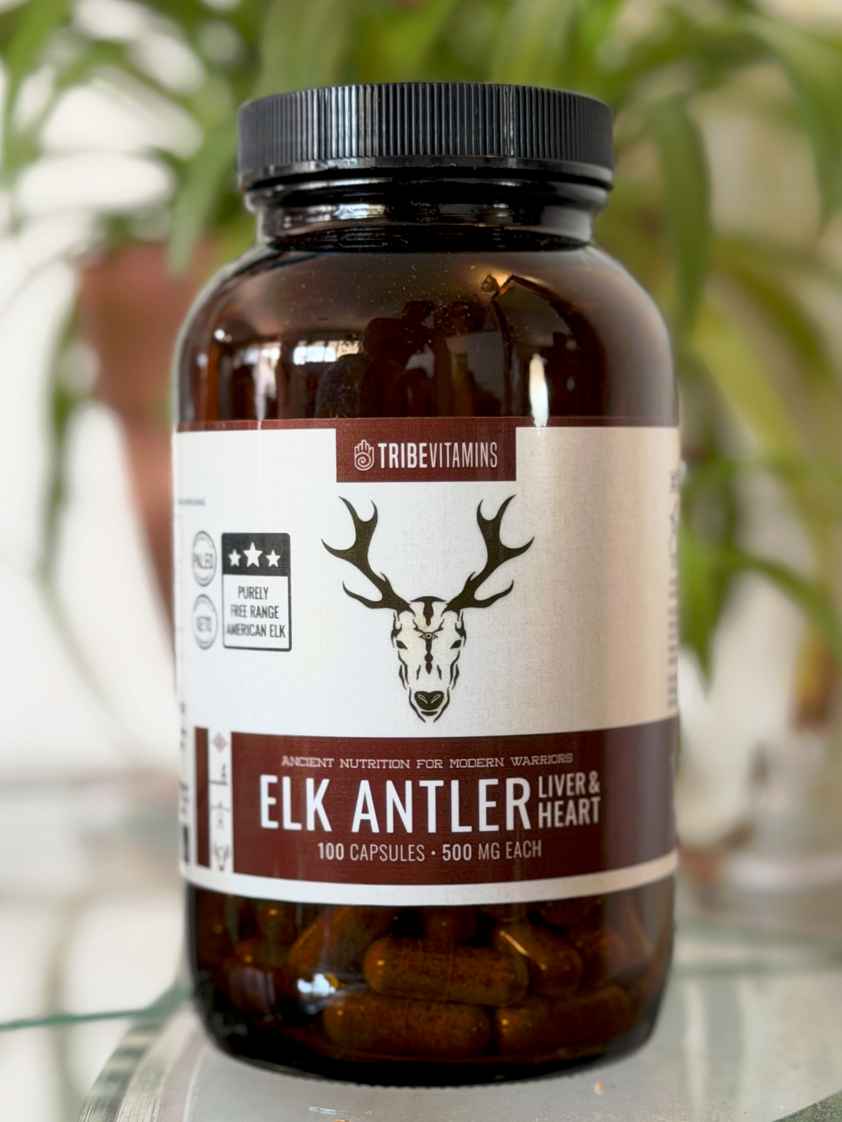 Elk Antler, Liver, & Heart