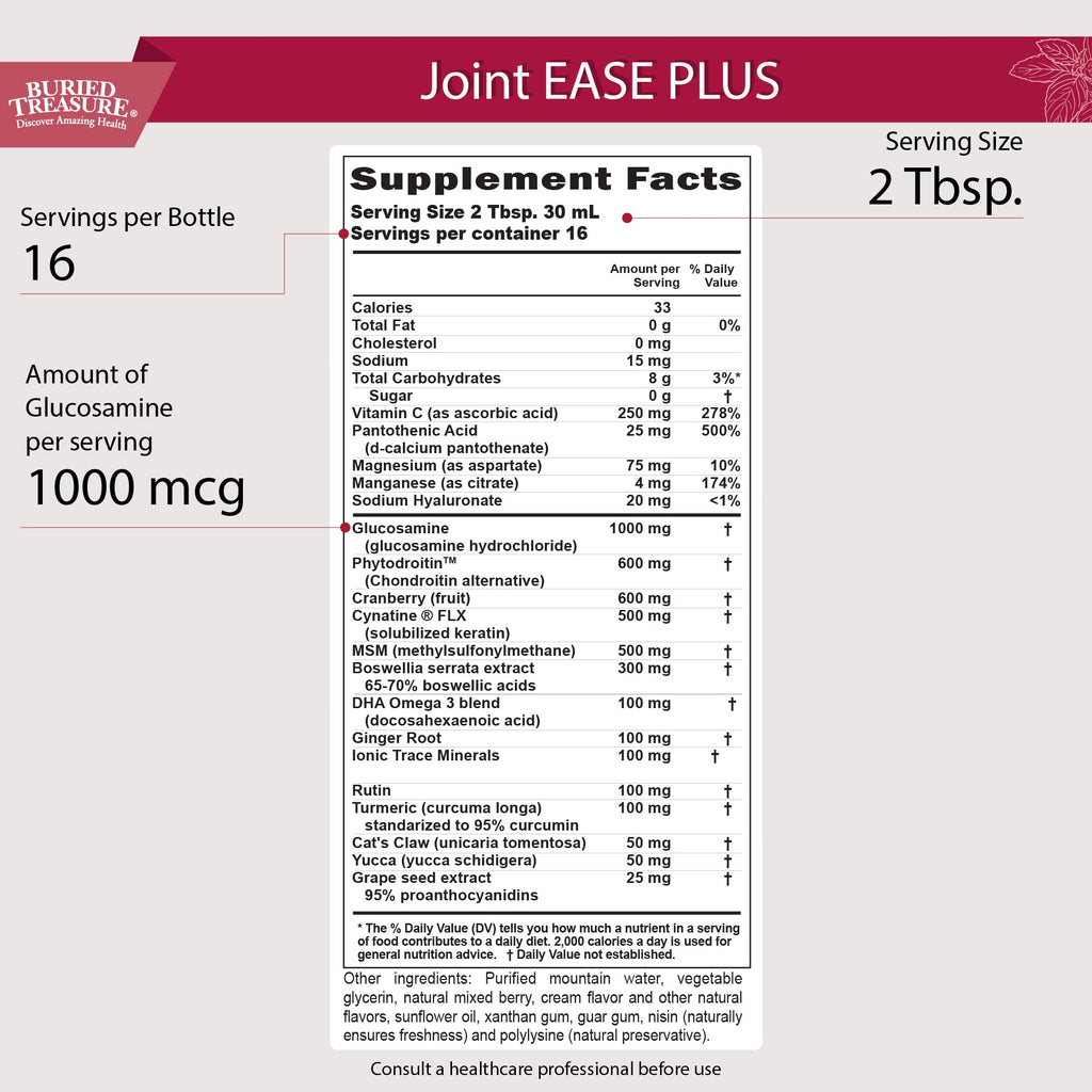Joint Ease Plus – with Glucosamine, Chondroitin, MSM, and Turmeric, 16 fl oz