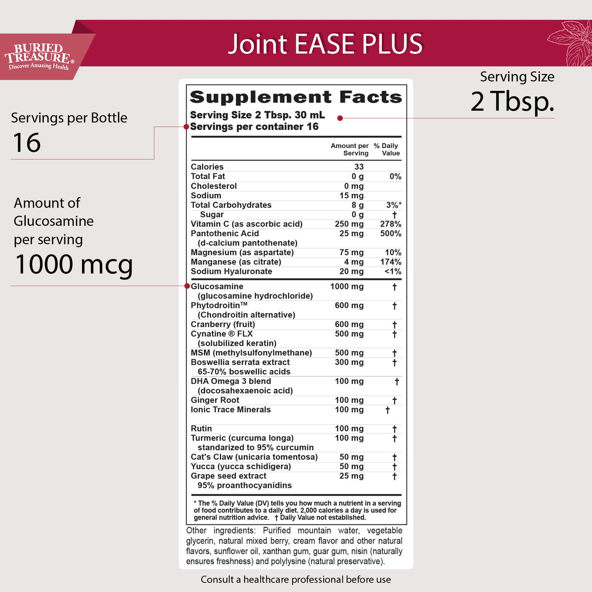 Joint Ease Plus – with Glucosamine, Chondroitin, MSM, and Turmeric, 16 fl oz