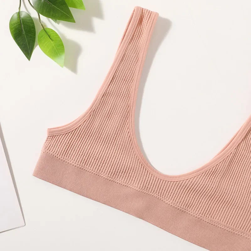 2Pcs/Set Women Non-wire Bra Crop Top Seamless Underwear Female Plunge Bra Tops Ribbed Sexy Lingerie Sports Intimates